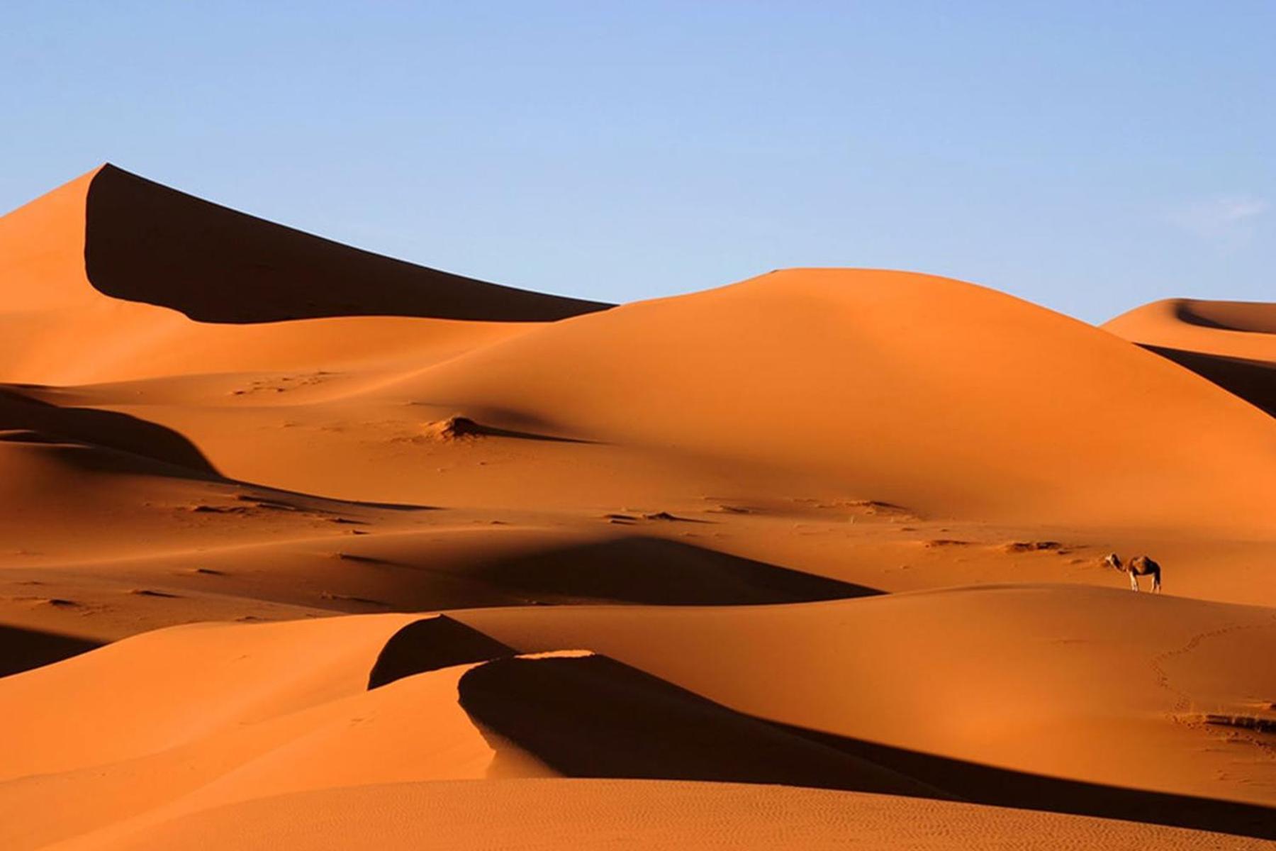 Desert Chegaga Luxury Camp * El Gouera